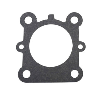 Sierra Lower Casing Gasket