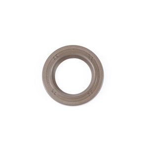 Sierra Seal, Water Pump